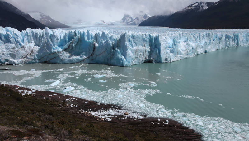 Grand voyage en Patagonie - Plante dcouverte