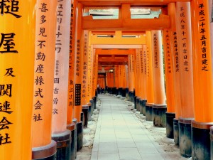 Torii du sanctuaire de Fushimi Inari près de Kyoto