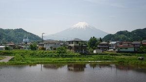 Mont Fuji et rizières !