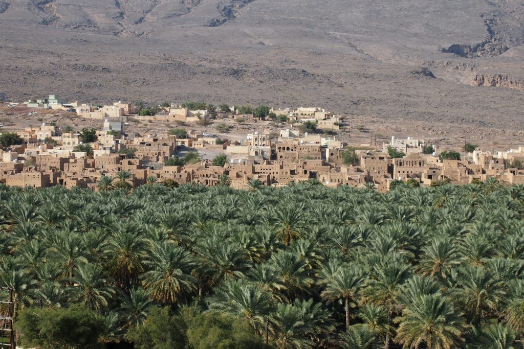 Oasis Al Hamra