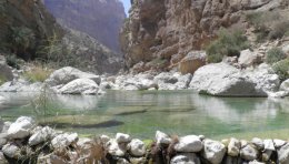 Wadi Tiwi